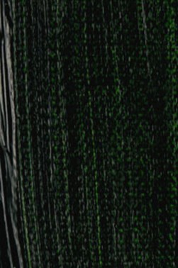 Grumbacher Academy Oil: Sap Green 37ml