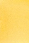 Daniel Smith Extra Fine Watercolor: Naples Yellow 5ml