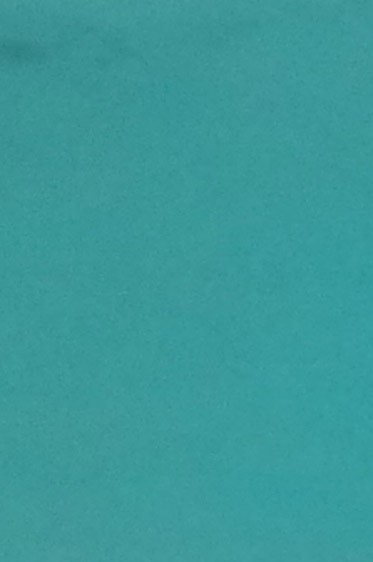 Colored Leaf: Light Blue 6 sheets