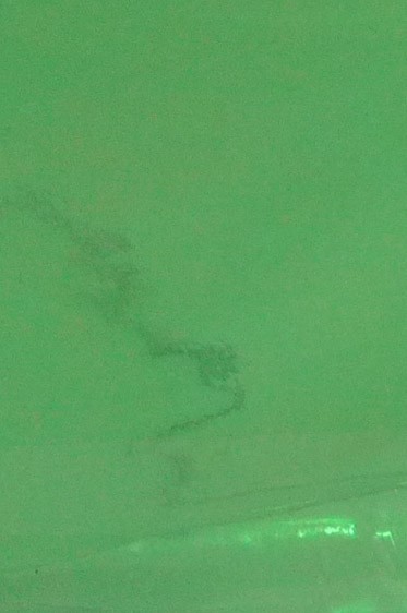 Colored Leaf: Light Green 6 sheets