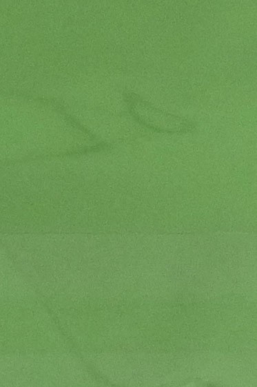 Colored Leaf: Olive 6 sheets