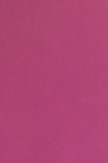 Colored Leaf: Pink 6 sheets