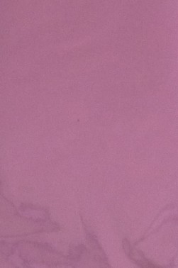 Colored Leaf: Shell Pink 6 sheets