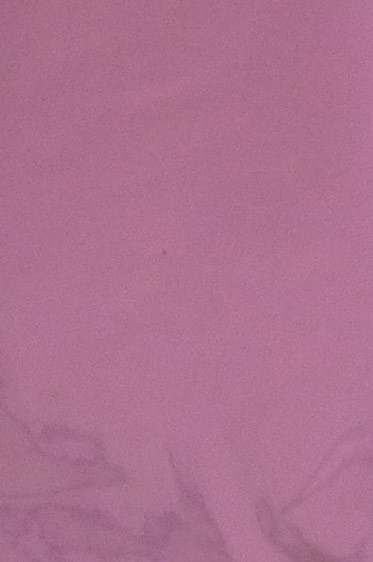 Colored Leaf: Shell Pink 6 sheets