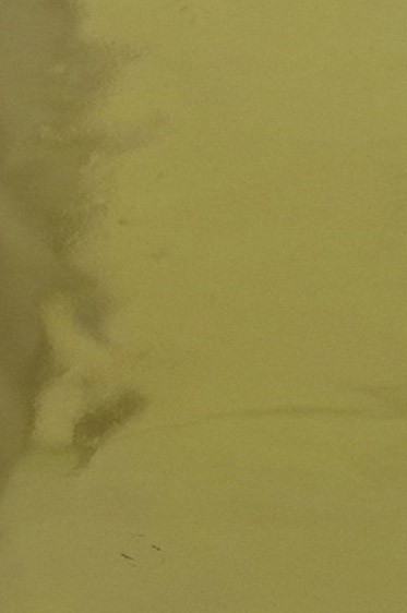 Metallic  Leaf: Gold C 6 sheets