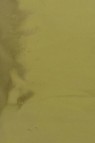 Metallic  Leaf: Gold C Roll