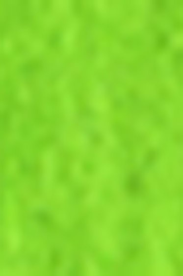 Lukas Aquarell Studio Watercolor: Sap Green 10ml