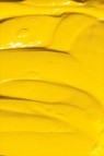 Grumbacher Pre-Tested Oil: Hansa Yellow 37ml