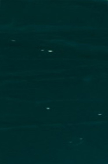 Grumbacher Pre-Tested Oil: Phthalo Green 37ml