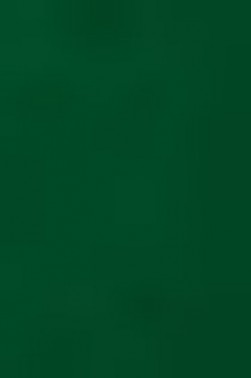 Prang Water Color: Green