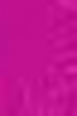 Prang Water Color: Magenta