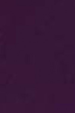 Prang Water Color: Violet