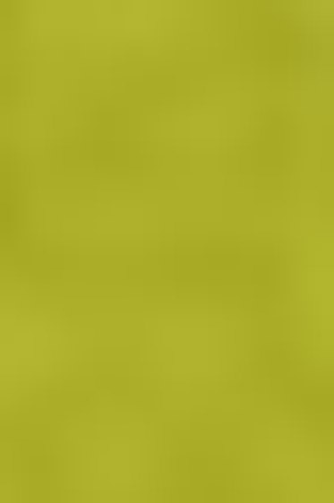 Prang Water Color: Yellow Green