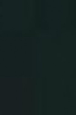 Schmincke Akademie Aquarell: Black Half Pan Opaque