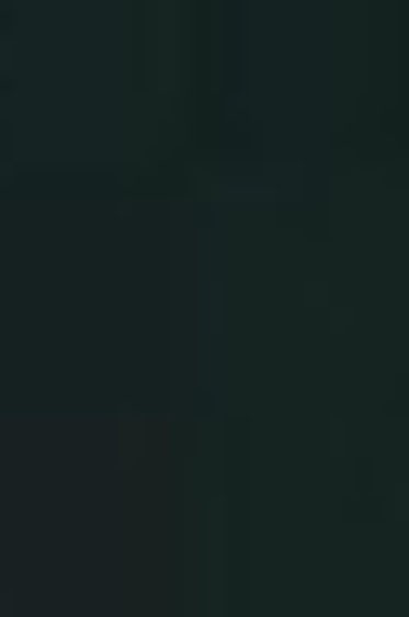 Schmincke Akademie Aquarell: Black Half Pan Opaque