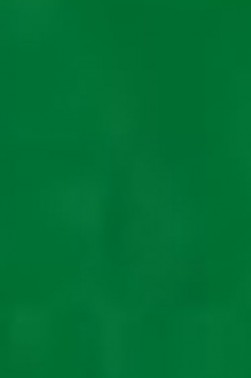 Schmincke Akademie Aquarell: Brilliant Green Half Pan Semi