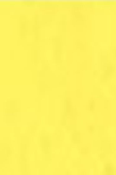 Schmincke Akademie Aquarell: Cadmium Yellow Hue Half Pan Semi