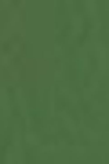 Schmincke Akademie Aquarell: Olive Green Yellowish  Half Pan Semi-Opaque