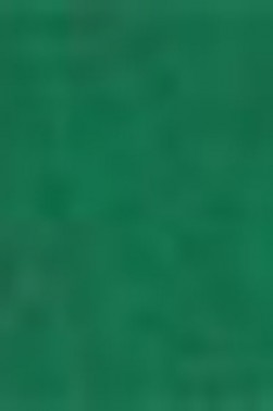 Schmincke Akademie Aquarell: Permanent Green Half Pan Semi-