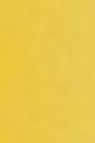 Schmincke Horadam Aquarell: Cadmium Yellow Deep HP