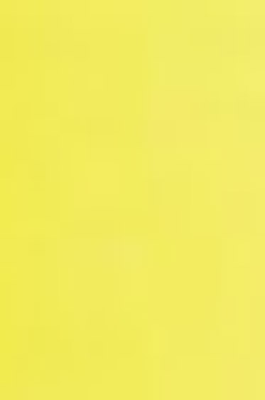 Schmincke Horadam Aquarell: Cadmium Yellow Light 5ml
