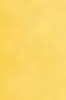 Schmincke Horadam Aquarell: Chrome Yellow Deep 5ml