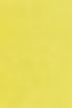 Schmincke Horadam Aquarell: Chrome Yellow Hue Light 5ml