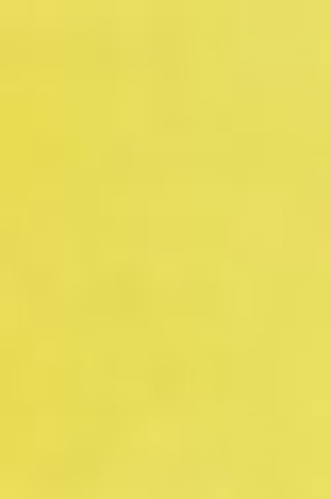 Schmincke Horadam Aquarell: Chrome Yellow Light 5ml