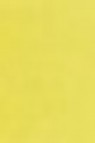 Schmincke Horadam Aquarell: Chrome Yellow Hue Light 5ml