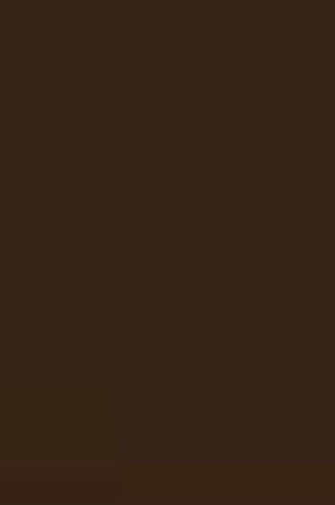 Winsor & Newton Cotman Watercolor: Burnt Umber half pan