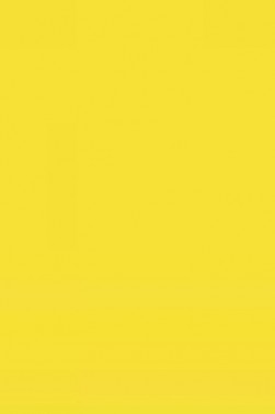 Winsor & Newton Cotman Watercolor: Cadmium Yellow Pale Hue half pan