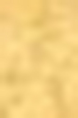 Schmincke Horadam Aquarell: Gold HP Semi-Opaque