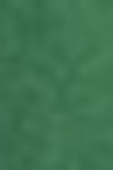 Schmincke Horadam Aquarell: Hooker's Green 5ml
