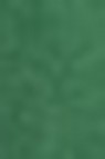Schmincke Horadam Aquarell: Hooker's Green 5ml