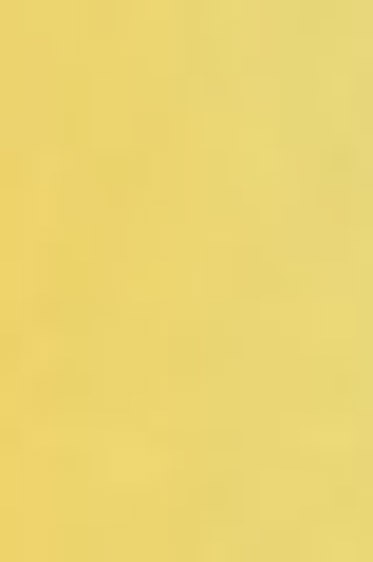 Schmincke Horadam Aquarell: Jaune Brilliant Dark 5ml