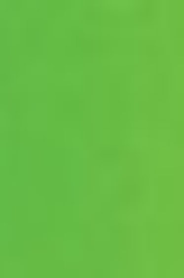 Schmincke Horadam Aquarell: May Green 5ml