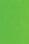Schmincke Horadam Aquarell: May Green 5ml