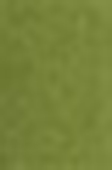 Schmincke Horadam Aquarell: Olive Green Yellowish HP Semi-Opaque