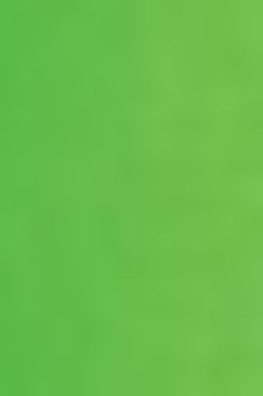 Schmincke Horadam Aquarell: Permanent Green  5ml