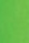 Schmincke Horadam Aquarell: Permanent Green  5ml