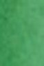 Schmincke Horadam Aquarell: Permanent Green Olive 5ml