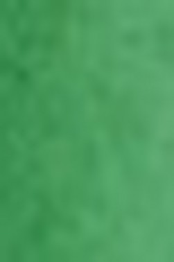 Schmincke Horadam Aquarell: Permanent Green Olive HP