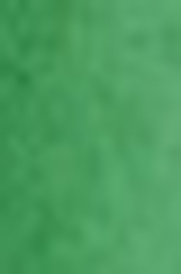 Schmincke Horadam Aquarell: Permanent Green Olive HP Semi-Opaque