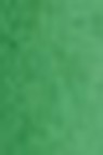 Schmincke Horadam Aquarell: Permanent Green Olive HP