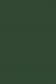Winsor & Newton Cotman Watercolor: Hookers Green Dark half pan