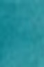 Schmincke Horadam Aquarell: Prussian Green 5ml