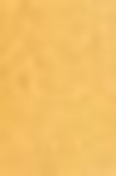 Schmincke Horadam Aquarell: Raw Sienna 5ml