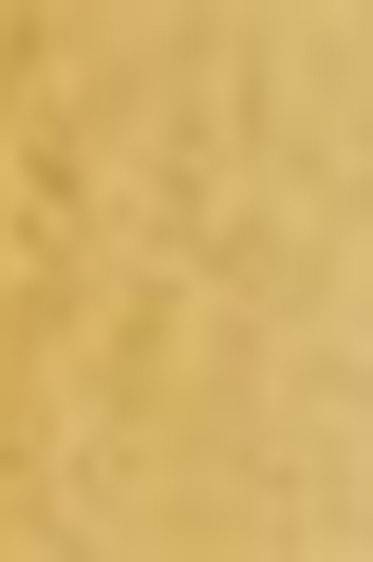 Schmincke Horadam Aquarell: Raw Umber 5ml