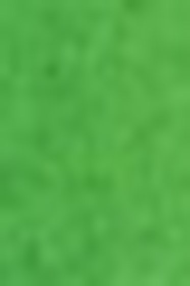 Schmincke Horadam Aquarell: Sap Green 5ml