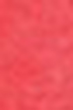 Schmincke Horadam Aquarell: Scarlet Red 5ml